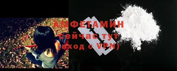 ПСИЛОЦИБИНОВЫЕ ГРИБЫ Баксан