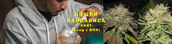 ПСИЛОЦИБИНОВЫЕ ГРИБЫ Баксан