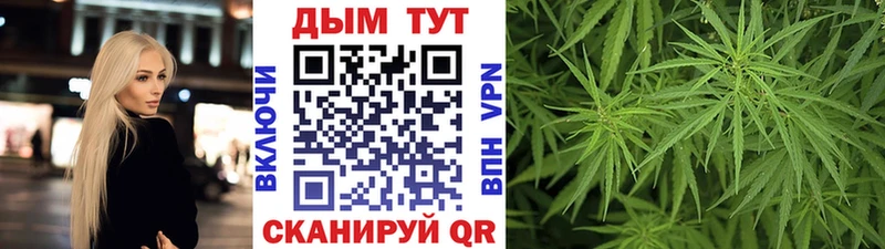 как найти   Северо-Курильск  Канабис планчик 